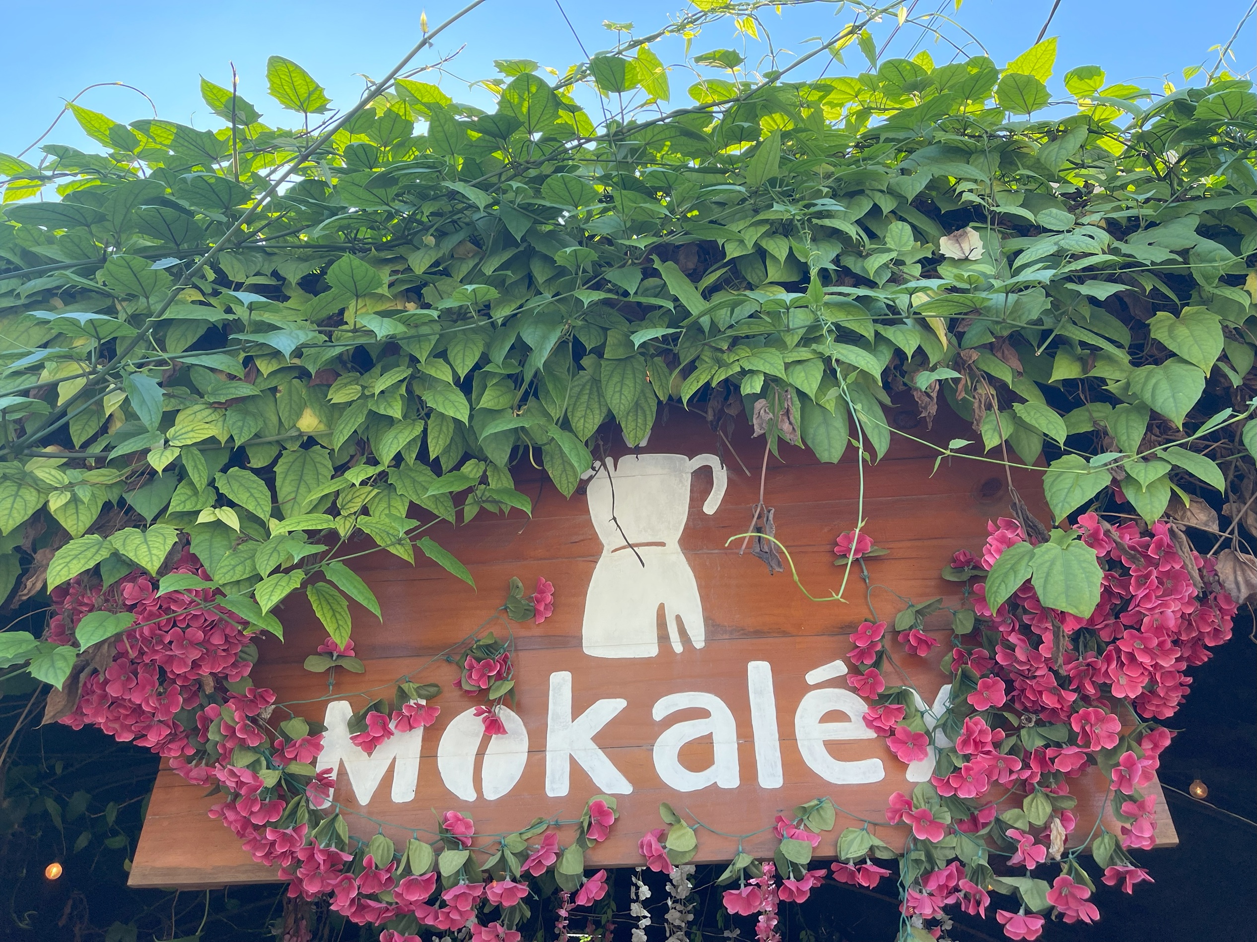 Mokalex Garden Mural