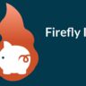 Firefly III Logo